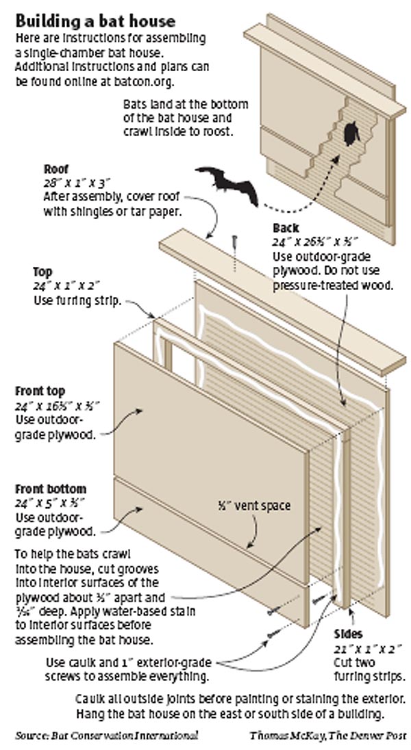 Chair and other: Free Bat house plans for canada